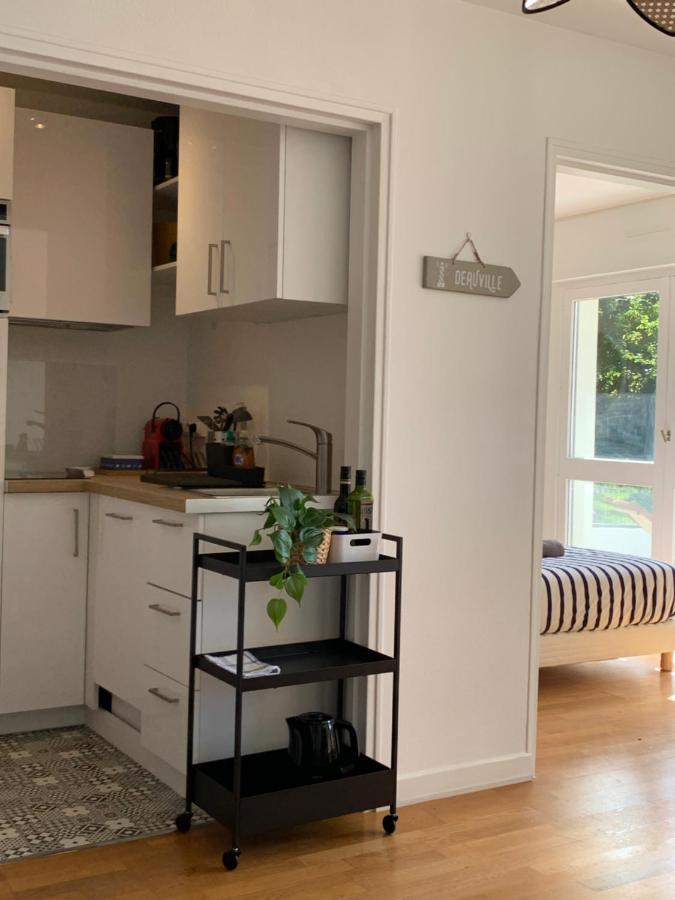 Trouville, Appartement Renove Avec Grande Terrasse Au Calme Bagian luar foto