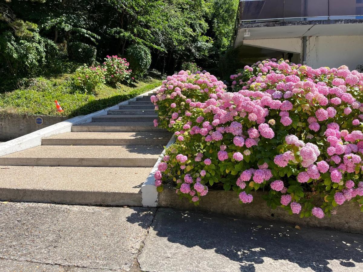 Trouville, Appartement Renove Avec Grande Terrasse Au Calme Bagian luar foto